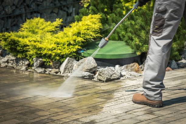 Best Sidewalk and Walkway Cleaning  in North Lauderdale, FL