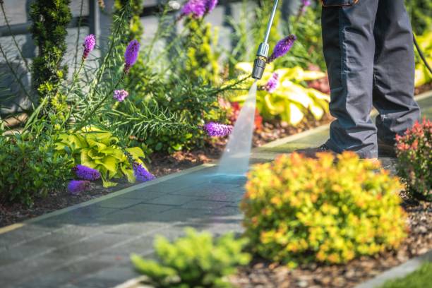 Best Fence Cleaning  in North Lauderdale, FL